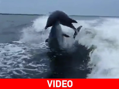 Μα καλά, τόση θάλασσα, πάνω μου έπεσες;